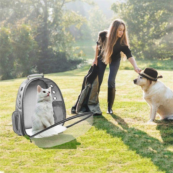 Backpack cat carriers