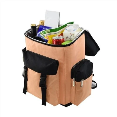 Beach Ice Wine Beer Cooler Backpack Bag For Woman